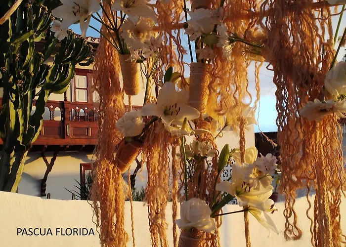 Mi Casa Es Tu Casa Guía de Isora