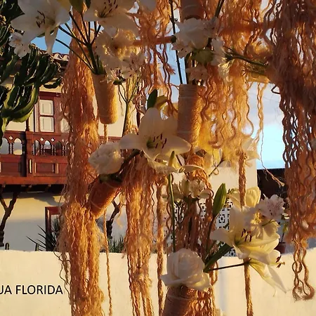 Mi Casa Es Tu Casa Гиа-де-Исора